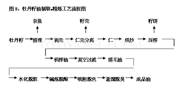 牡丹籽油設備 牡丹籽油榨油精煉生產線(圖5)