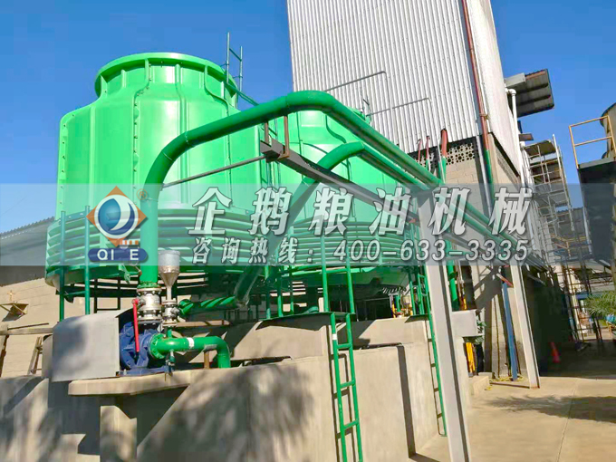 如何投資建設(shè)棕櫚油加工廠？企鵝糧油機械在線為您答疑解惑(圖3)
